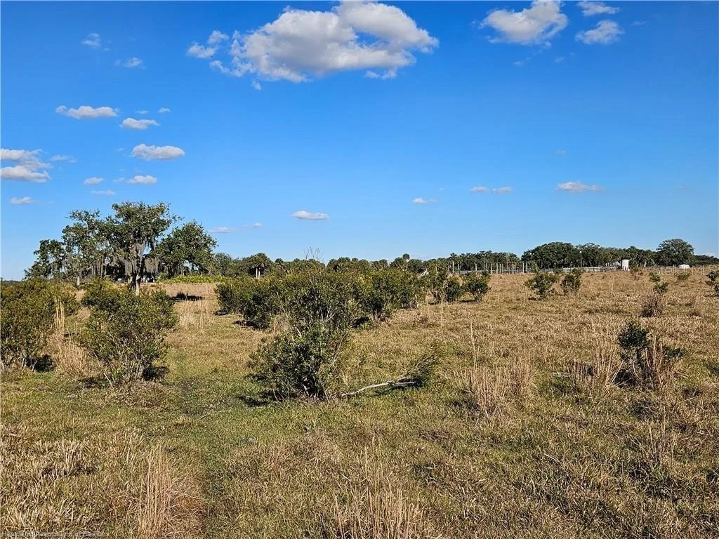 Photo of 320 GRIGSBY ROAD