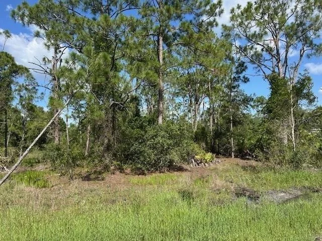 Photo of 13036 APACHE DRIVE