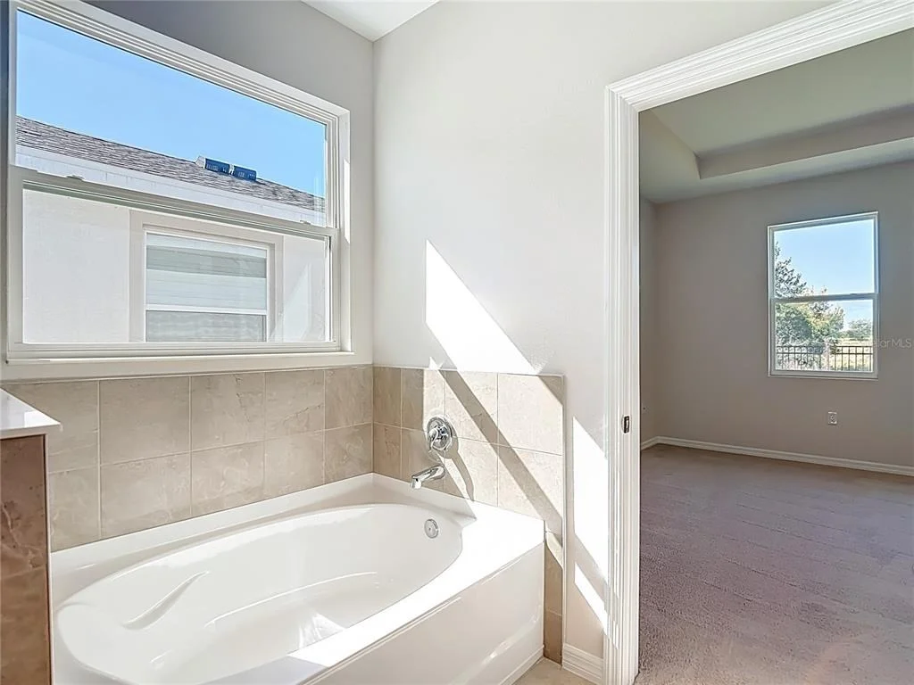Photo of 10471 BRIDGEGATE HEIGHTS LOOP
