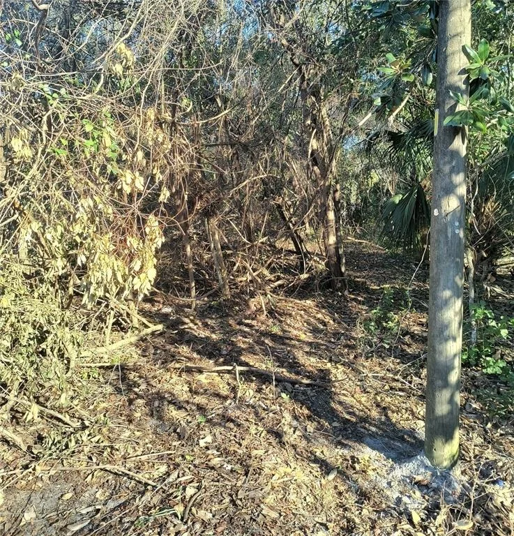 Photo of 1929 NE 7TH PLACE