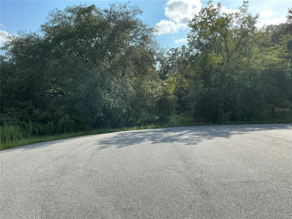 Photo of LOT 28 ASPEN DR PLACE