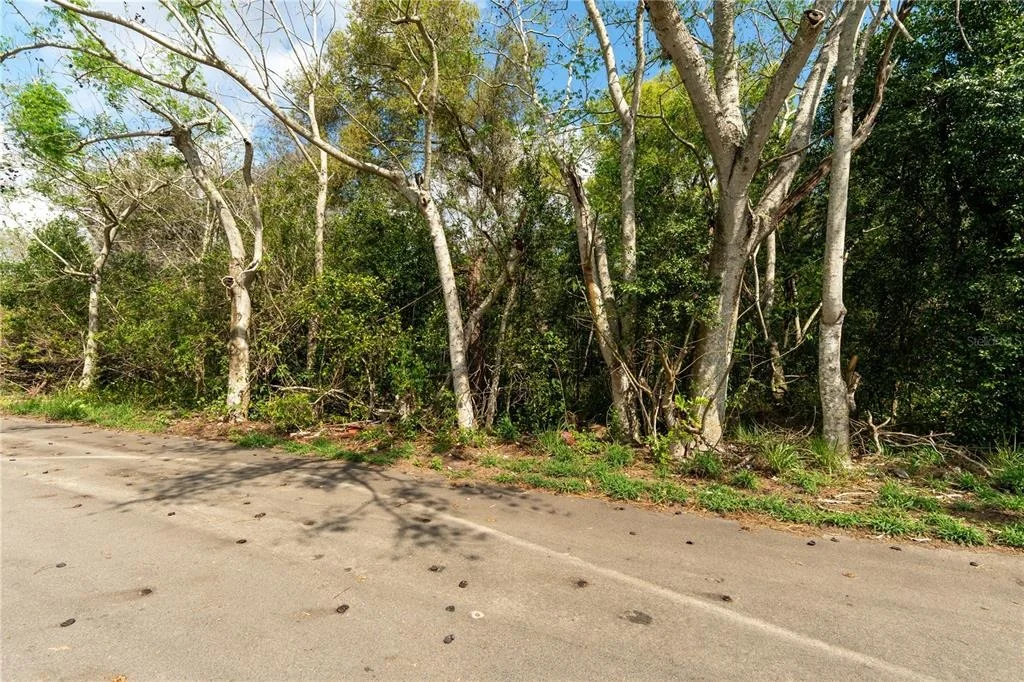 Photo of 0 TOM SHEFFIELD ROAD