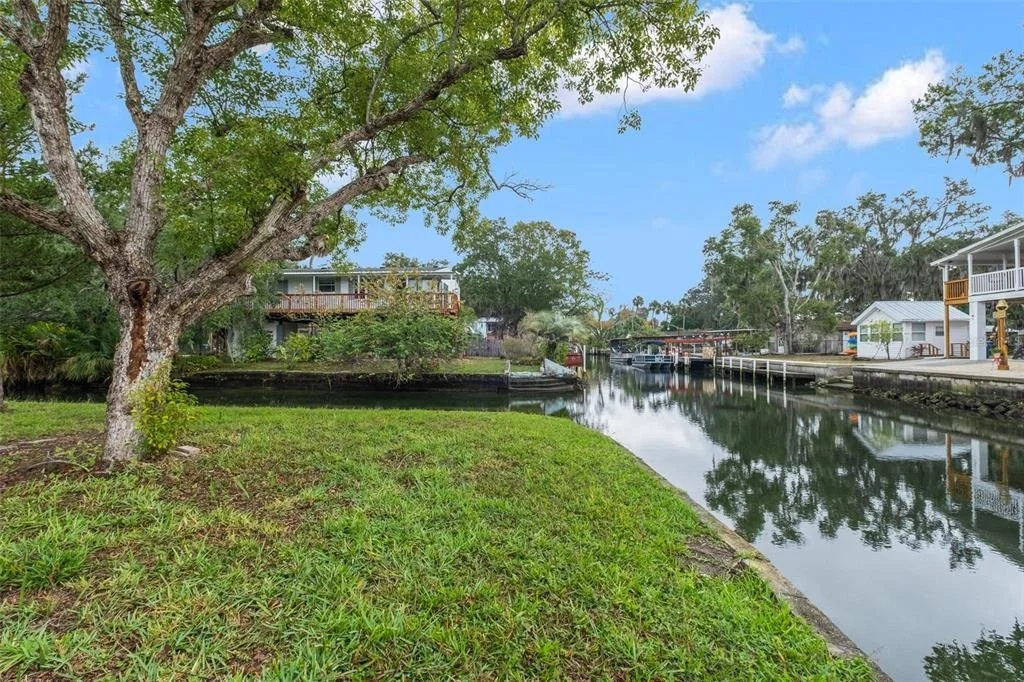 Photo of TEAL DRIVE