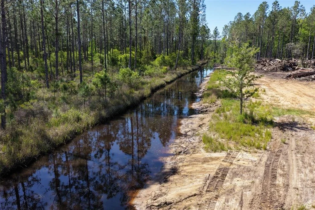 Photo of 15539 COUNTY RD 305