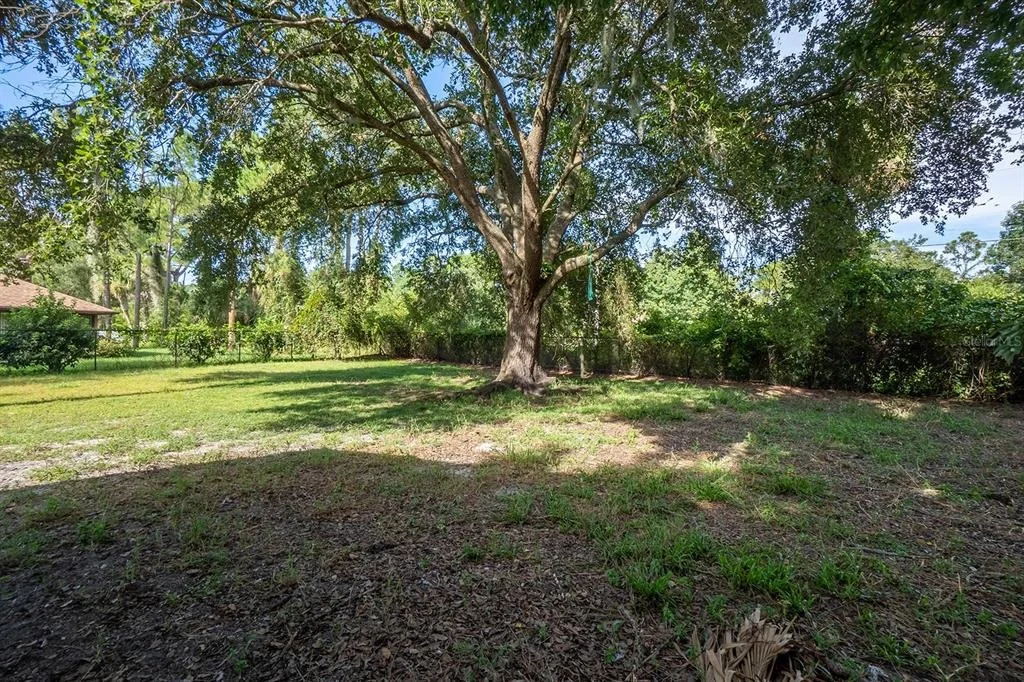 Photo of 16 WARREN PLACE