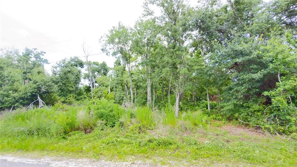 Photo of 7402 LAND DRIVE