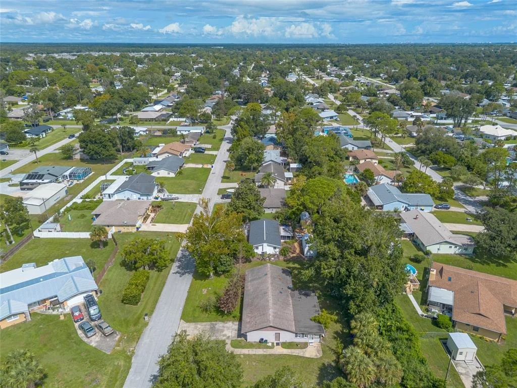 Photo of 2629 UMBRELLA TREE DRIVE