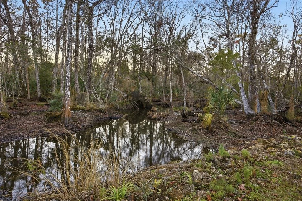Photo of Track 79 CLAYTON ROAD