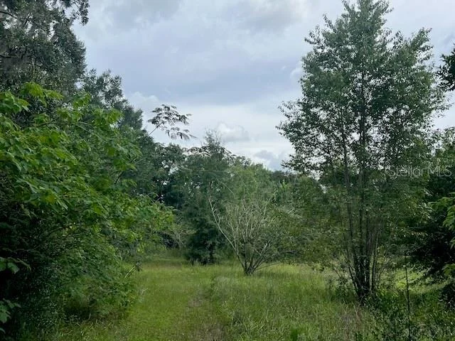 Photo of 3231 NE HWY 41