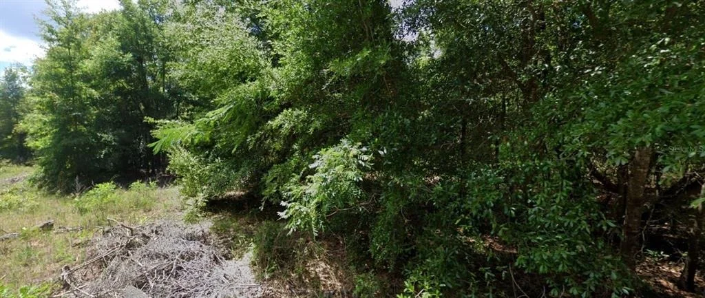 Photo of 0 NW 14TH