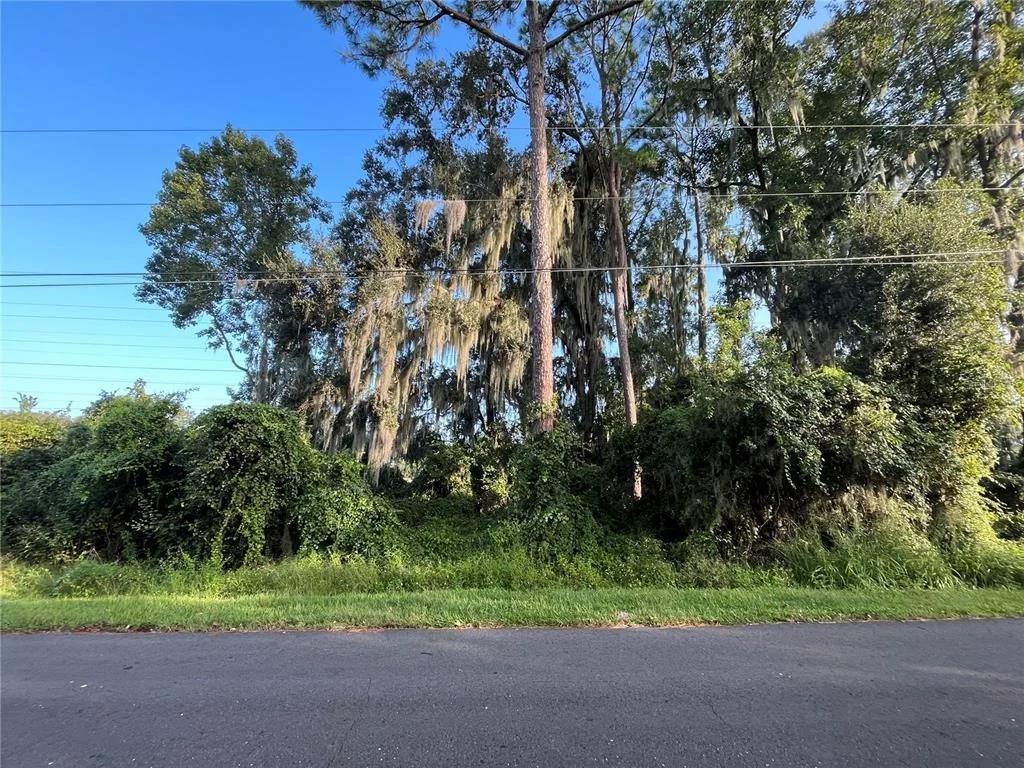Photo of 262 TOMS ROAD