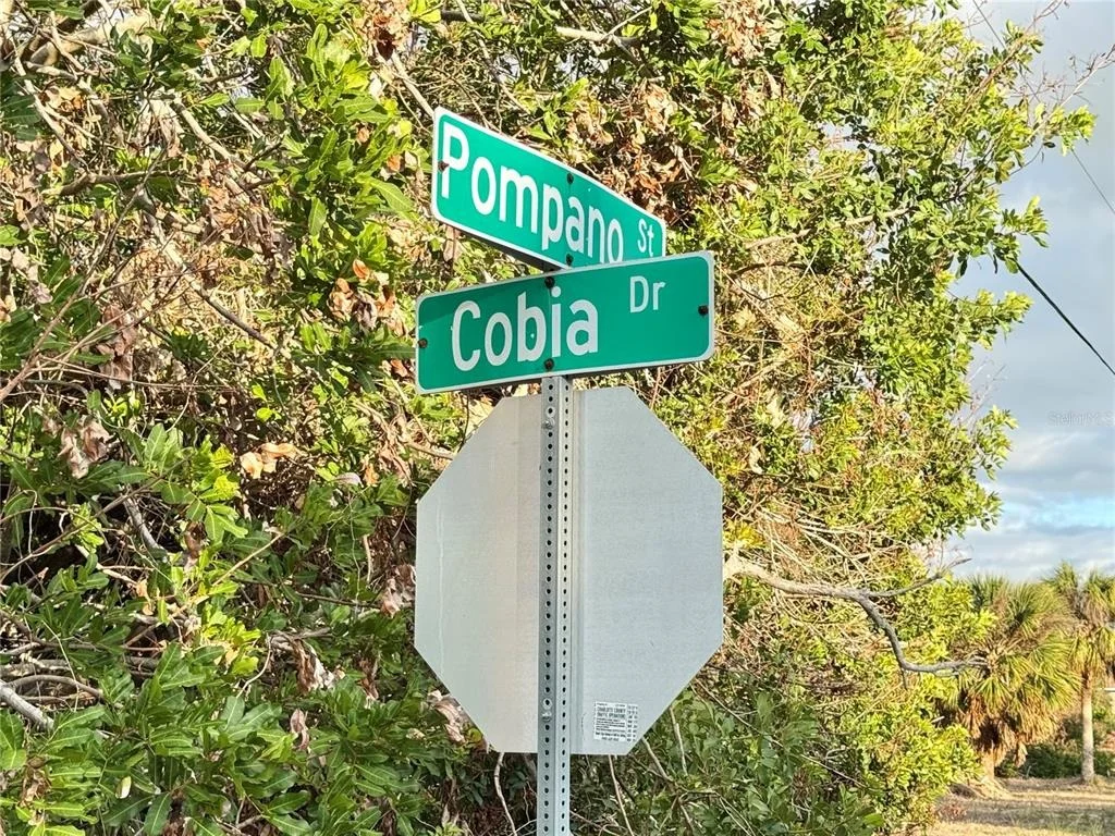 Photo of 50 COBIA DRIVE