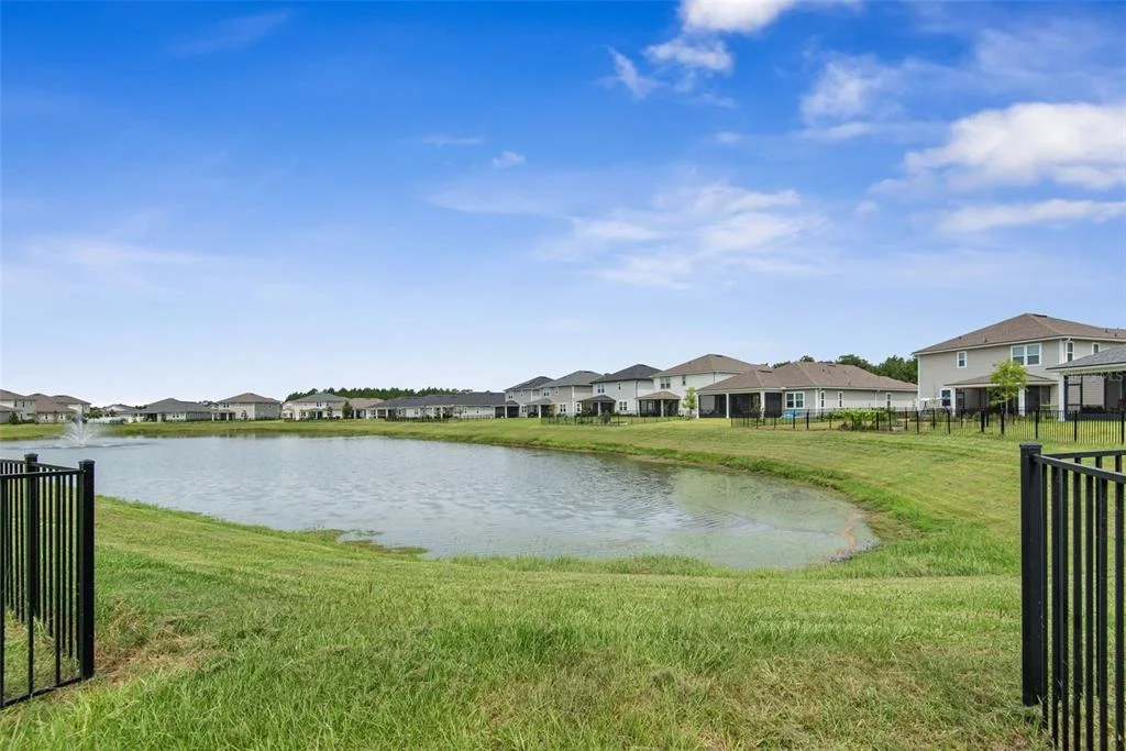Photo of 26 WINGED ELM