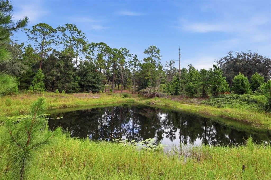 Photo of 39913 SWIFT ROAD