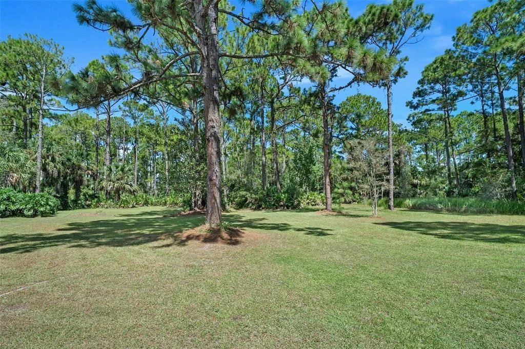 Photo of 45 WINCHESTER ROAD