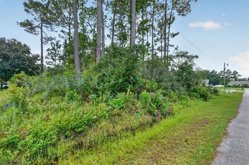 Photo of 12 UNDERSHIRE PATH