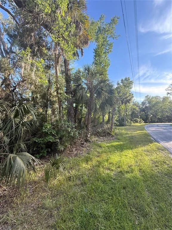 Photo of 10274 W OZELLO TRAIL