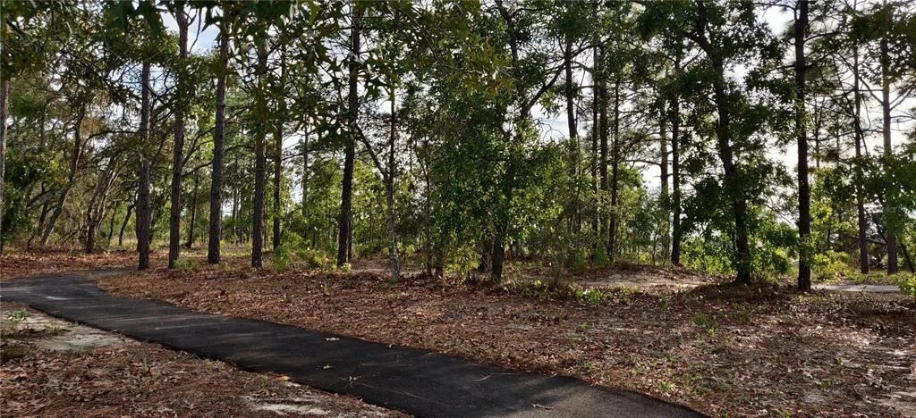 Photo of 5568 OCEAN BREEZE DRIVE