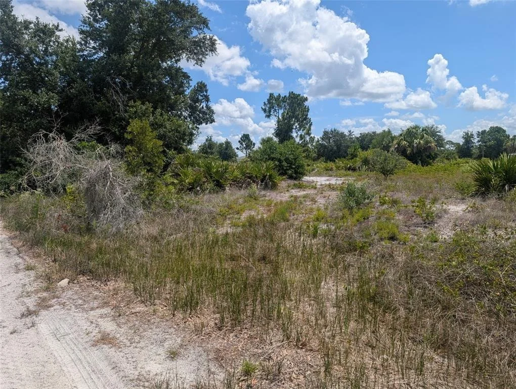 Photo of 2345 DIPLOMAT DRIVE