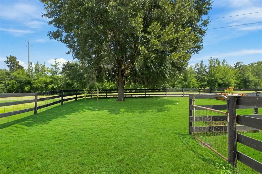 Photo of 23458 CROOM ROAD