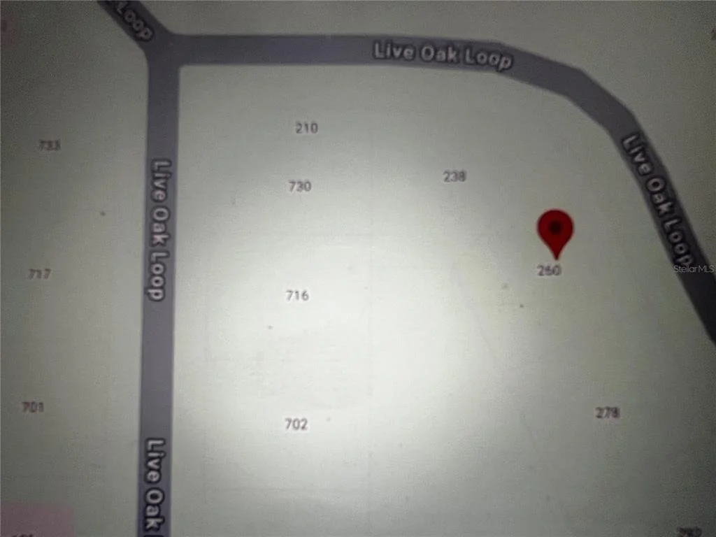 Photo of 260 LIVE OAK LOOP