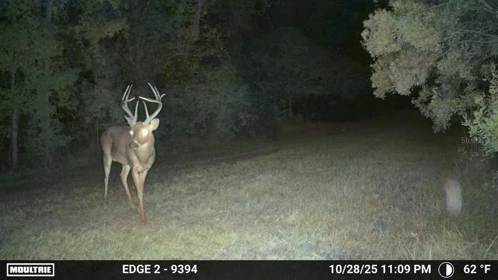 Photo of 11816 SE COUNTY ROAD 234