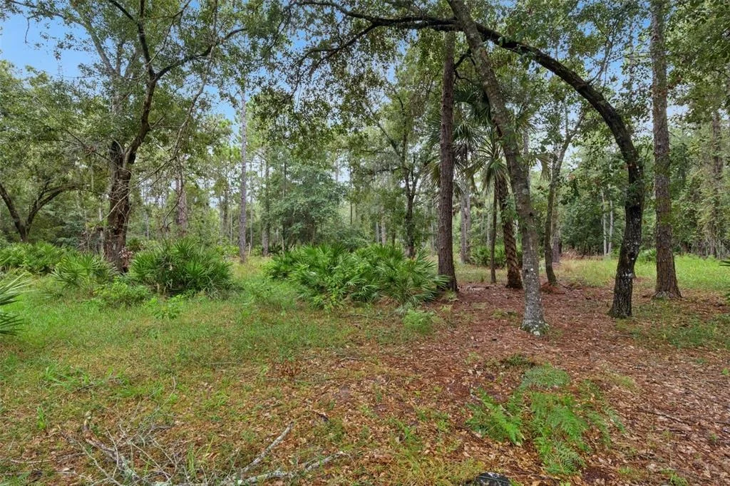 Photo of 14133 LUND DRIVE
