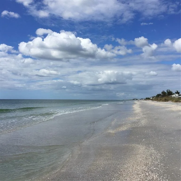 Photo of 7365 PALM ISLAND DRIVE