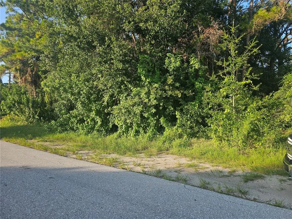Photo of 205 SERENADE DRIVE