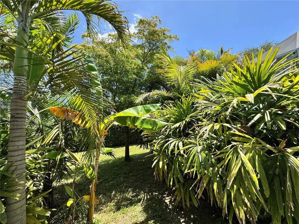 Photo of 6207 TUPELO TRAIL