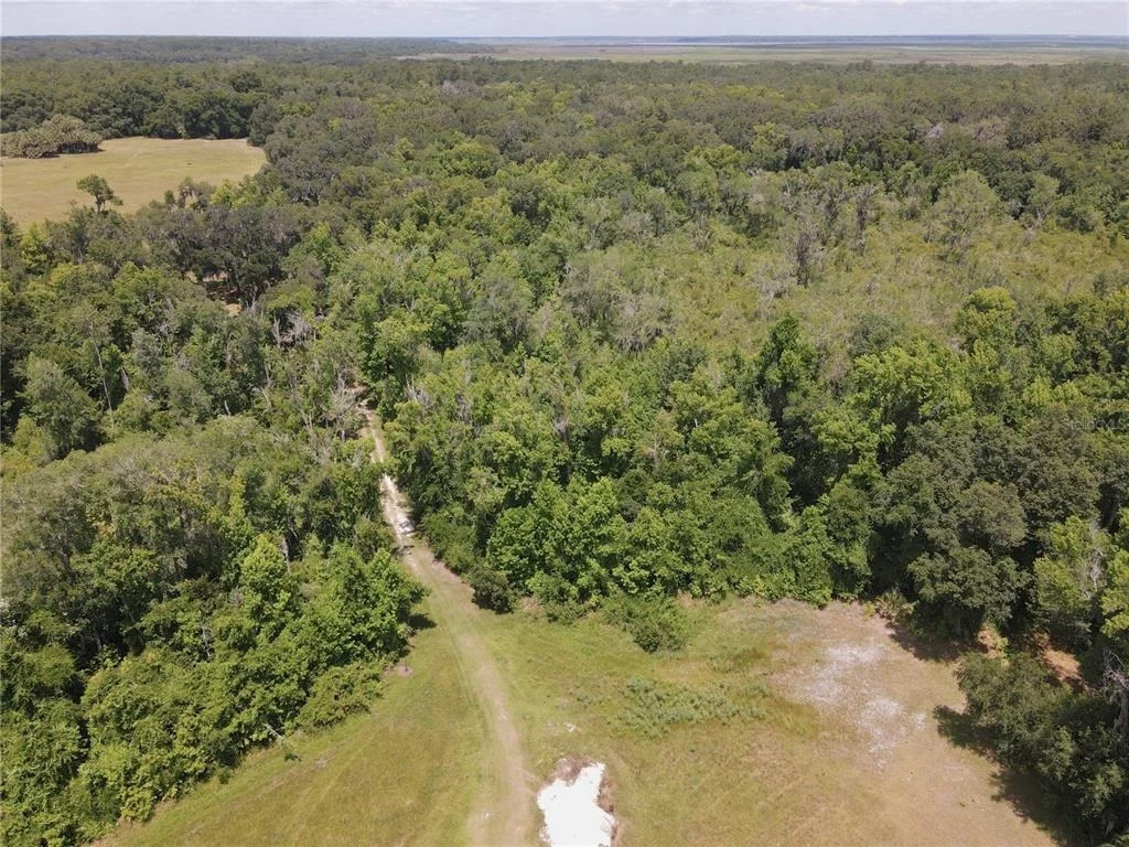 Photo of 11804 SE COUNTY ROAD 234