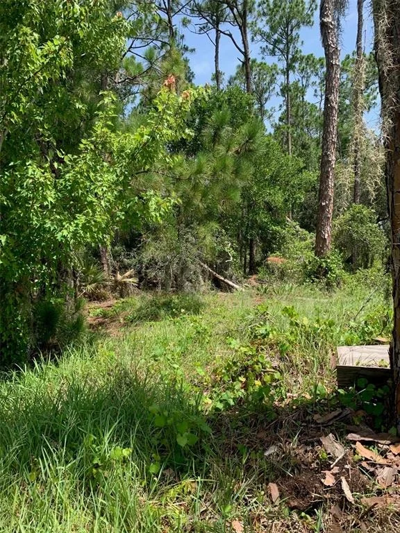 Photo of 1709 STREAM AVENUE