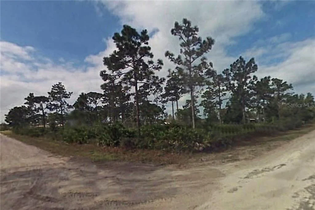 Photo of APOLLO AVENUE