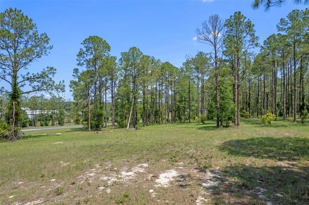 Photo of 35408 PINEGATE TRAIL