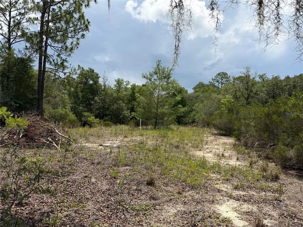 Photo of 9730 NE STATE ROAD 24