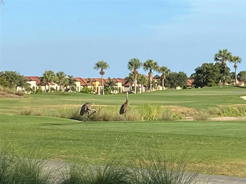Photo of 24173 SPARTINA DRIVE