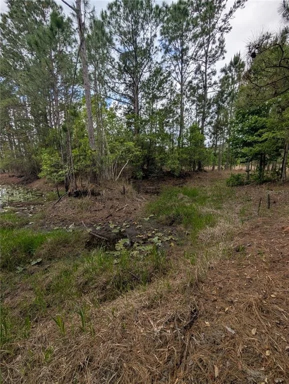 Photo of 38521 ILEX TRAIL