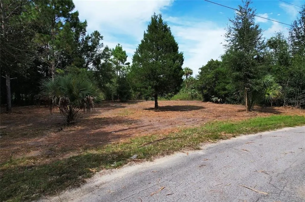 Photo of 8750 N CATAPANE LOOP