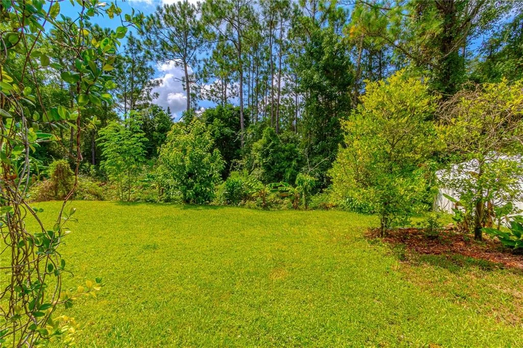Photo of 10462 WILLOW RIDGE LOOP