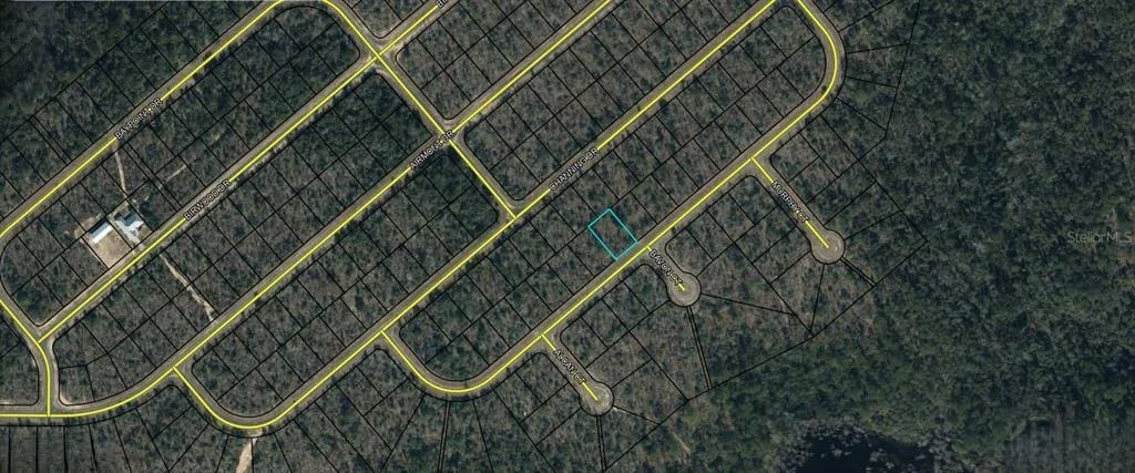Photo of DURHAM DRIVE