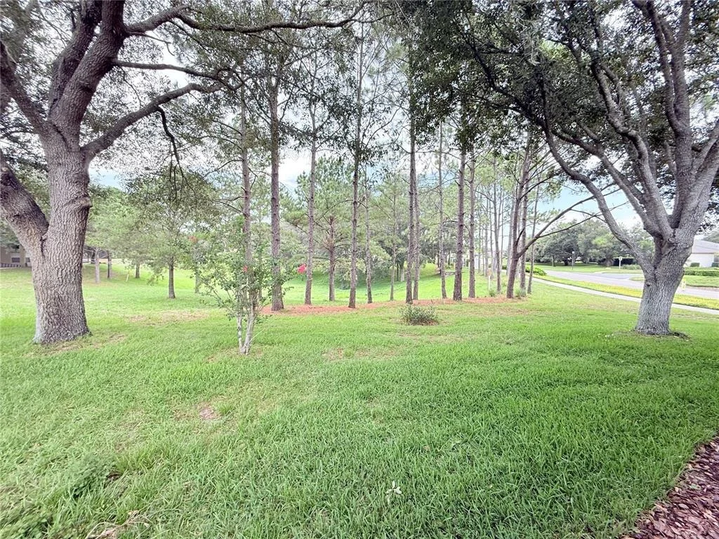 Photo of 265 CENTER OAK CIRCLE
