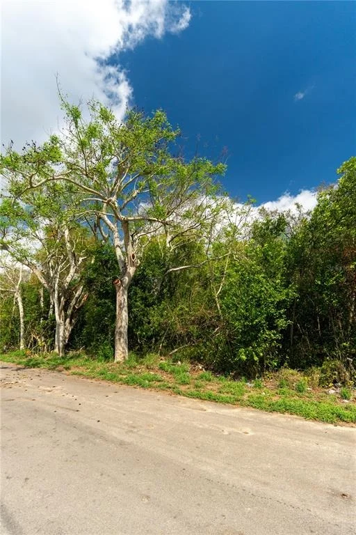 Photo of 0 TOM SHEFFIELD ROAD