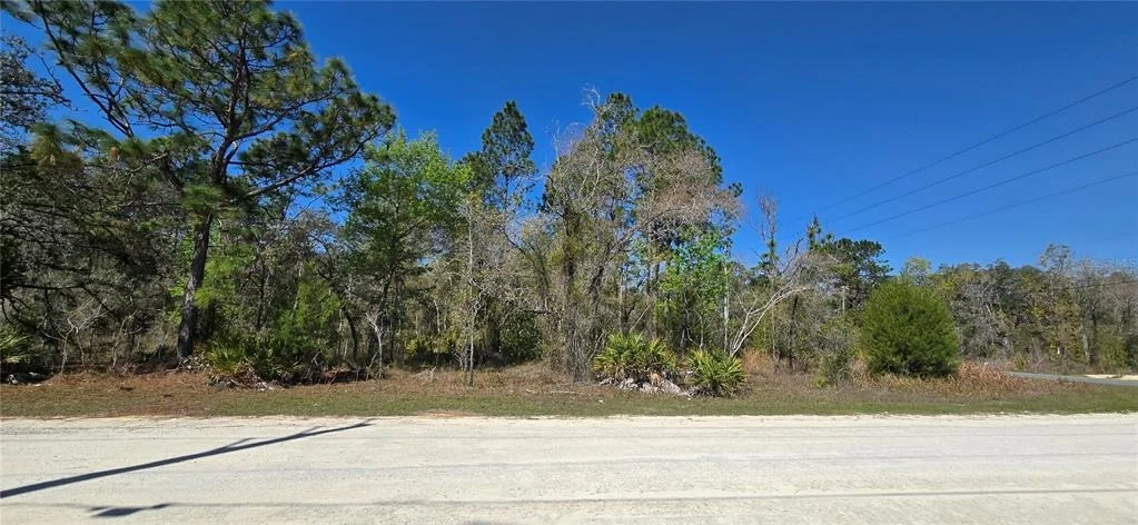 Photo of 12398 RUFFED GROUSE ROAD