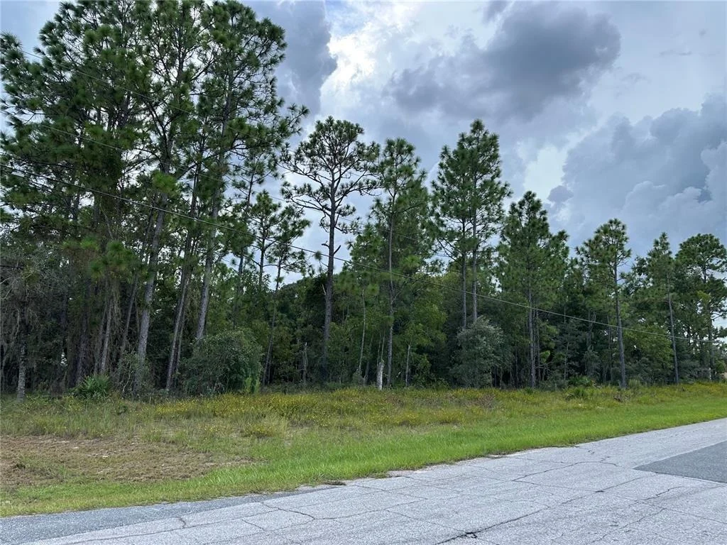 Photo of 5212 N PEPPERMINT DRIVE
