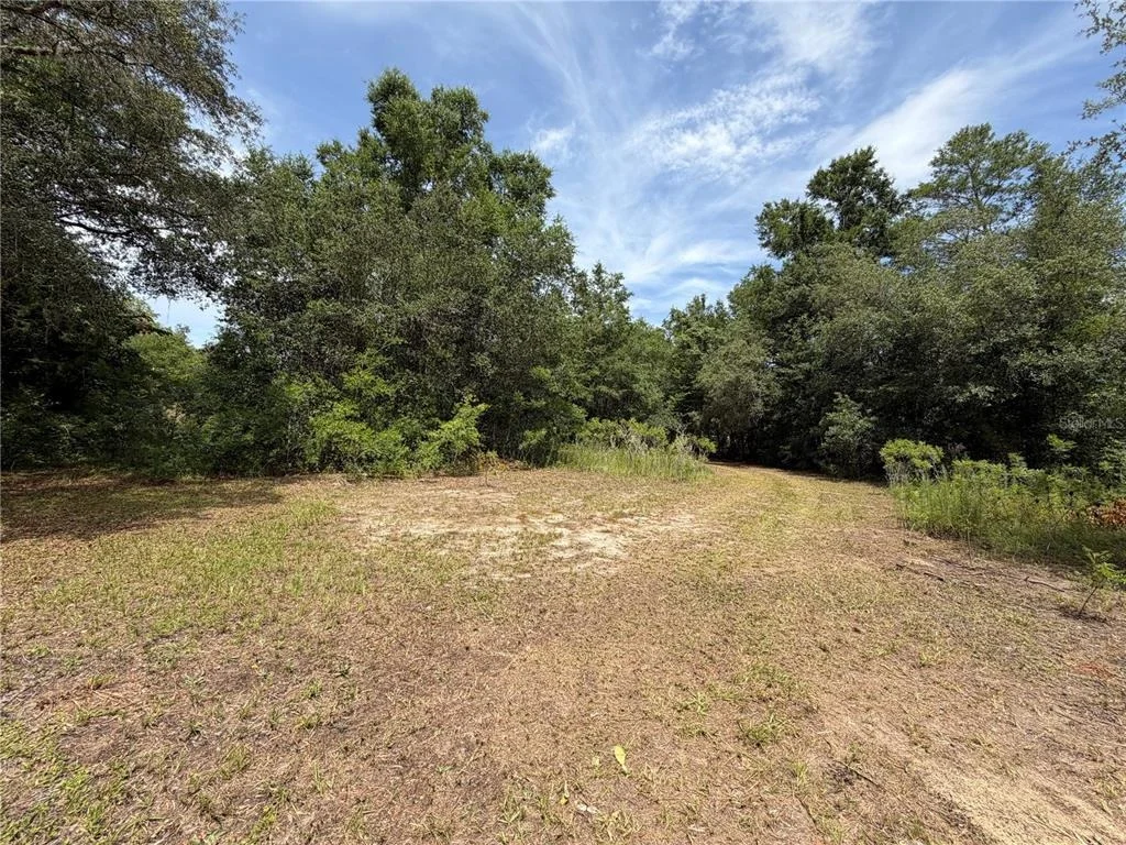 Photo of 9730 NE STATE ROAD 24