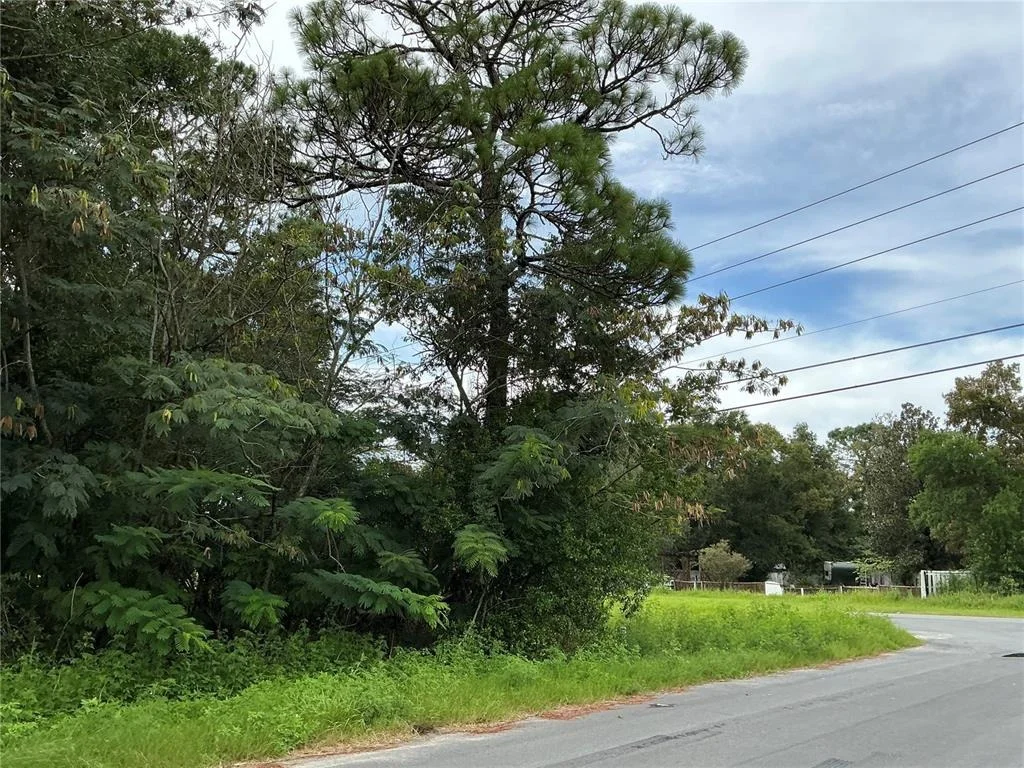Photo of LOT 1 PINE RADIAL RUN