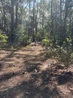 Photo of 37610 OAKLEE ROAD