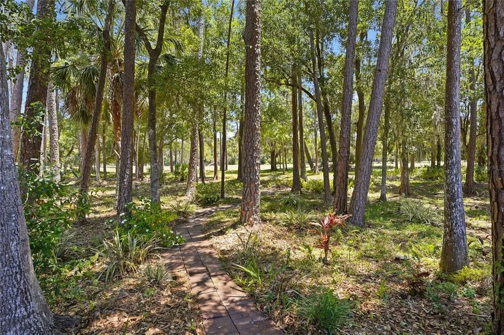 Photo of 3071 BOLT DRIVE