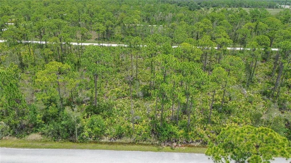 Photo of 28364 PLATO DRIVE