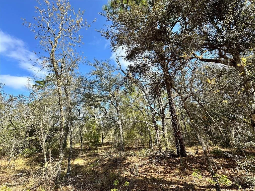 Photo of TBD NE 68TH PLACE
